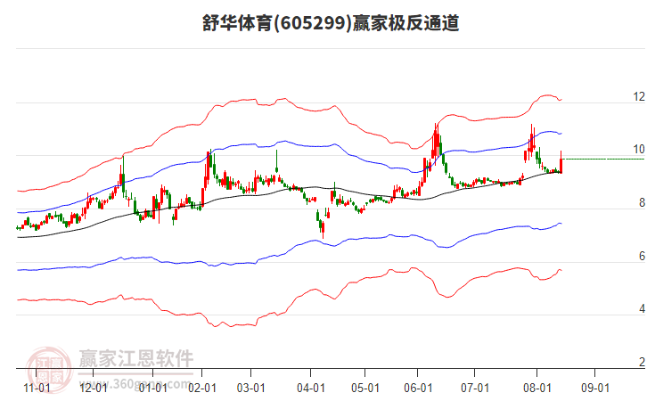 605299舒華體育贏家極反通道工具 605299舒華體育贏家極反通道工具