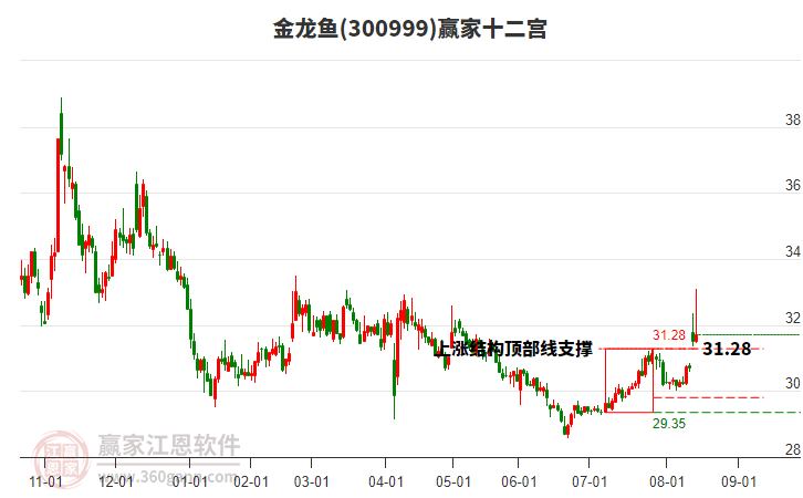 300999金龍魚贏家十二宮工具 300999金龍魚贏家十二宮工具