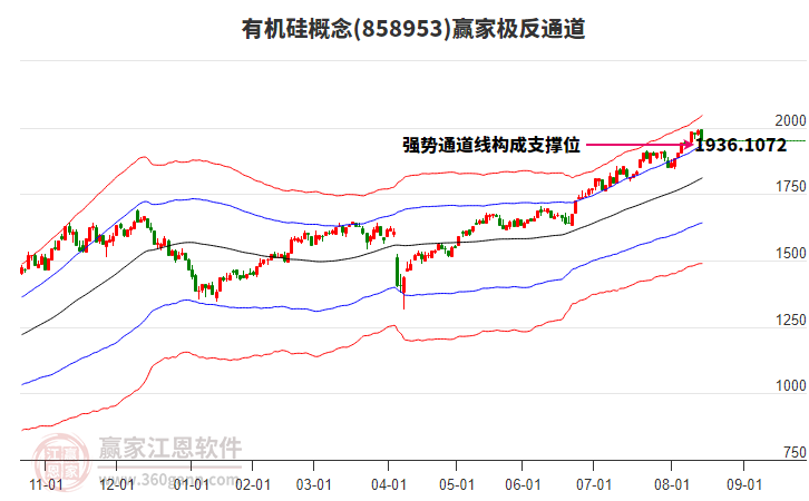 858953有機硅贏家極反通道工具