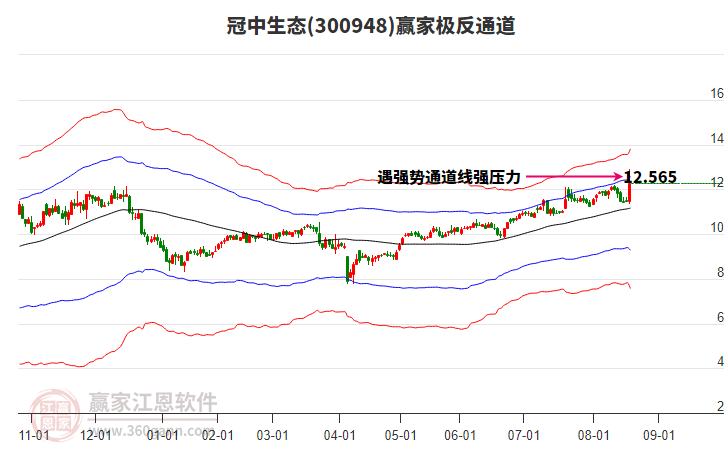 300948冠中生態(tài)贏家極反通道工具