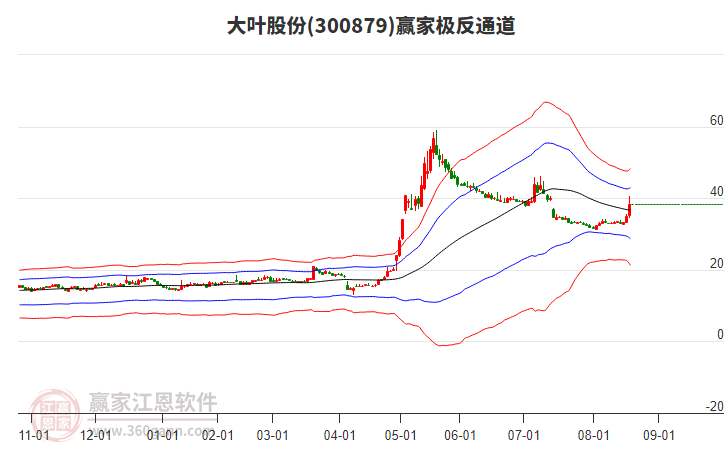 300879大葉股份贏家極反通道工具 300879大葉股份贏家極反通道工具