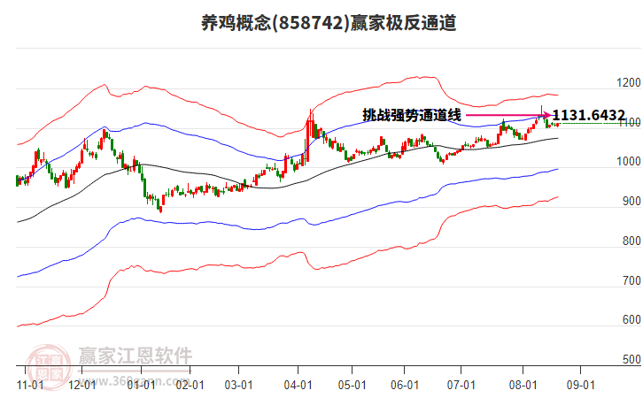 858742養(yǎng)雞贏家極反通道工具 858742養(yǎng)雞贏家極反通道工具