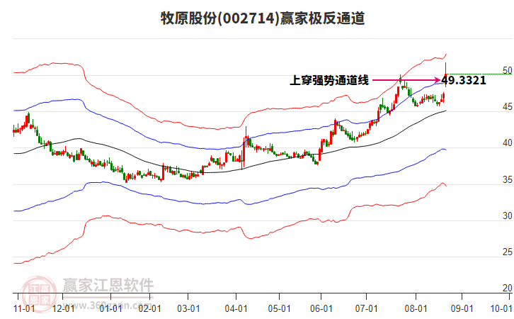 002714牧原股份贏家極反通道工具
