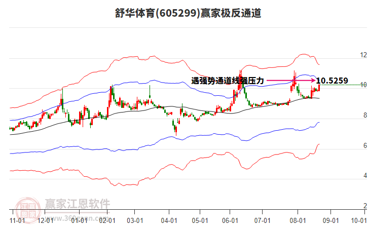 605299舒華體育贏家極反通道工具 605299舒華體育贏家極反通道工具