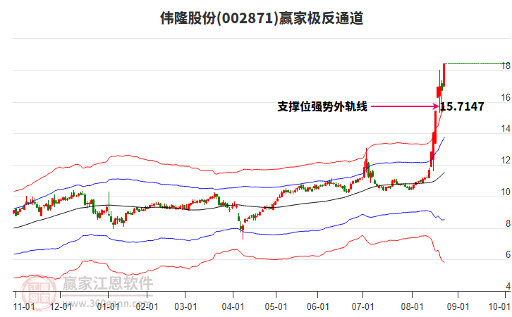 002871偉隆股份贏家極反通道工具