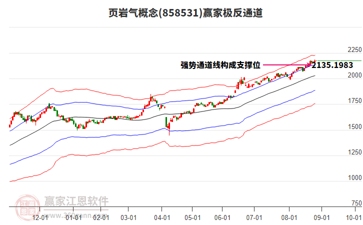 858531頁巖氣贏家極反通道工具