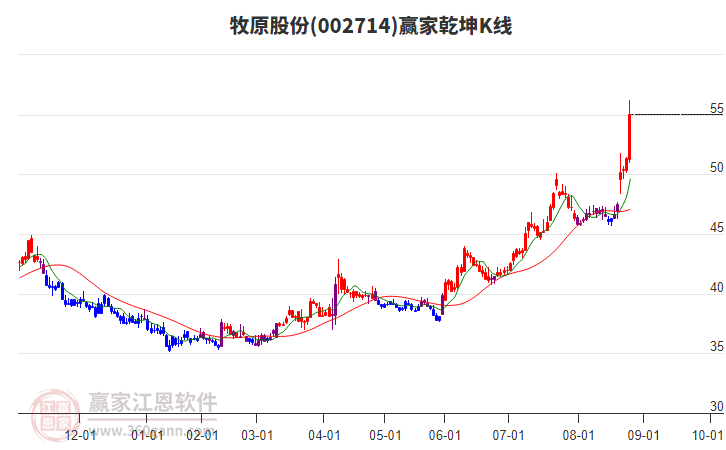 002714牧原股份贏家乾坤K線工具