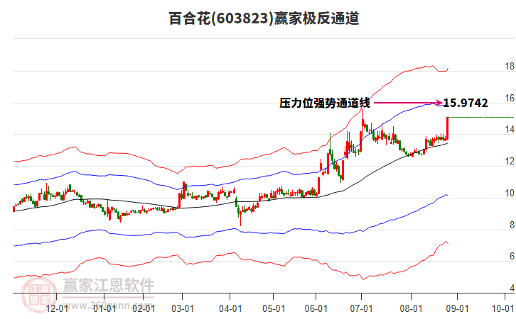 603823百合花贏家極反通道工具 603823百合花贏家極反通道工具