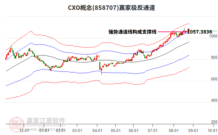 858707CXO贏家極反通道工具