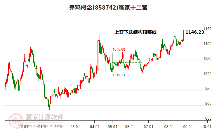 858742養(yǎng)雞贏家十二宮工具