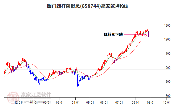 858744幽門螺桿菌贏家乾坤K線工具