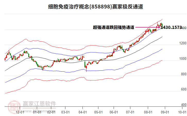 858898細(xì)胞免疫治療贏家極反通道工具 858898細(xì)胞免疫治療贏家極反通道工具