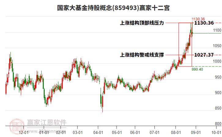 859493國家大基金持股贏家十二宮工具
