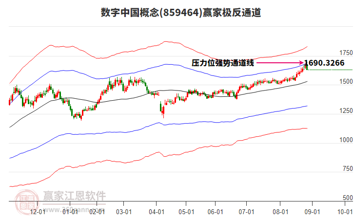 859464數(shù)字中國贏家極反通道工具