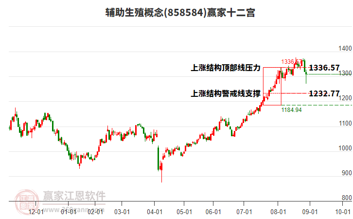 858584輔助生殖贏家十二宮工具