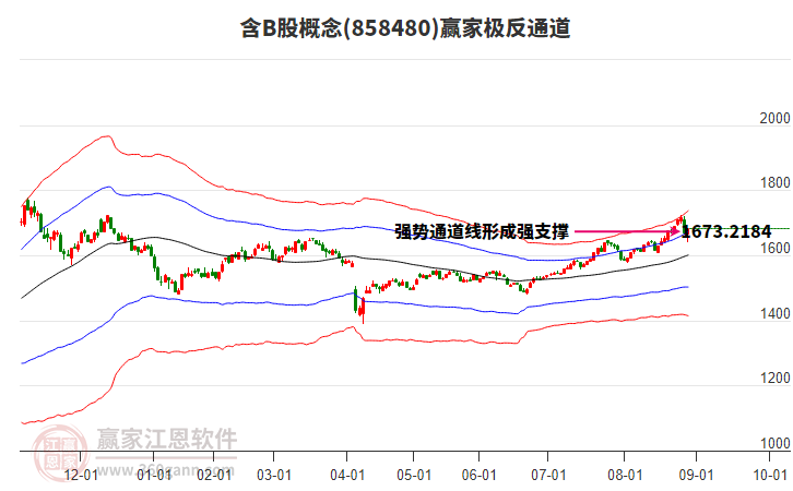 858480含B股贏家極反通道工具 858480含B股贏家極反通道工具