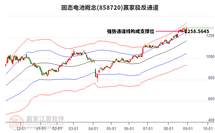 858720固態(tài)電池贏家極反通道工具