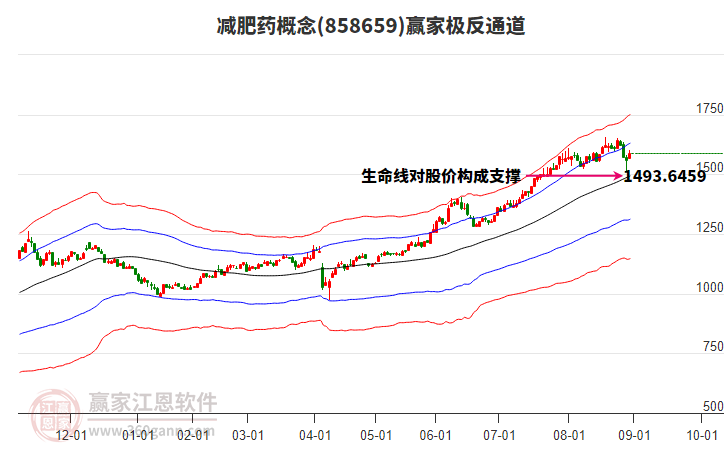 858659減肥藥贏家極反通道工具
