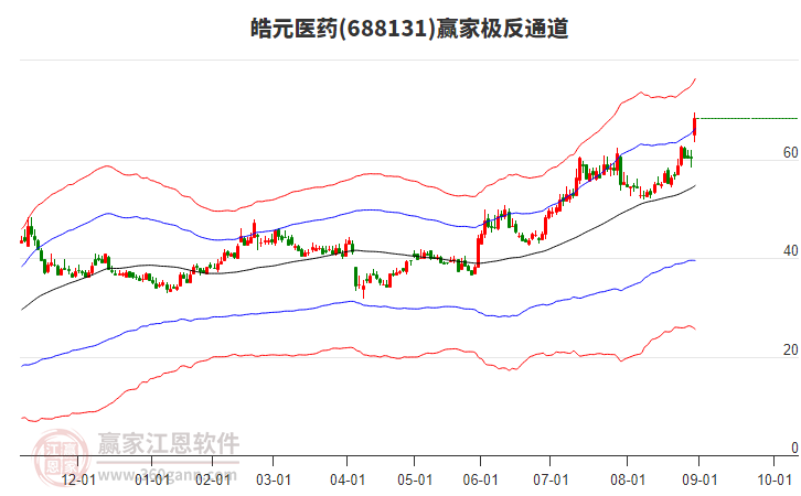 688131皓元醫(yī)藥贏家極反通道工具 688131皓元醫(yī)藥贏家極反通道工具