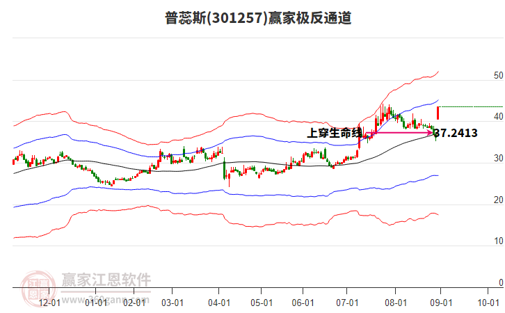 301257普蕊斯贏家極反通道工具