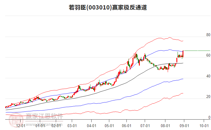003010若羽臣贏家極反通道工具