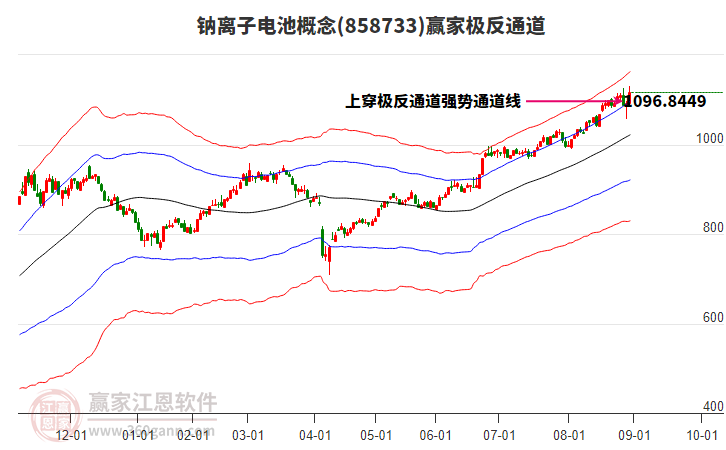 858733鈉離子電池贏家極反通道工具