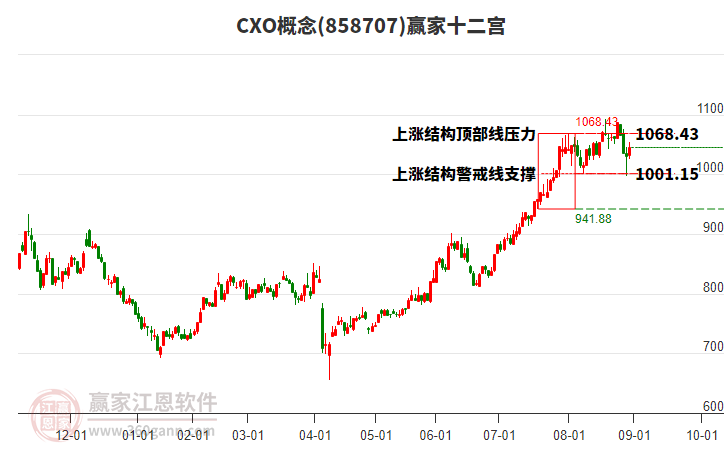 858707CXO贏家十二宮工具