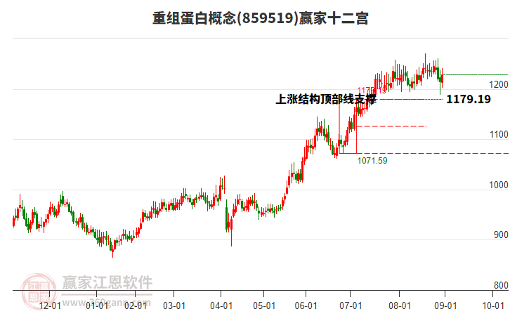 859519重組蛋白贏家十二宮工具