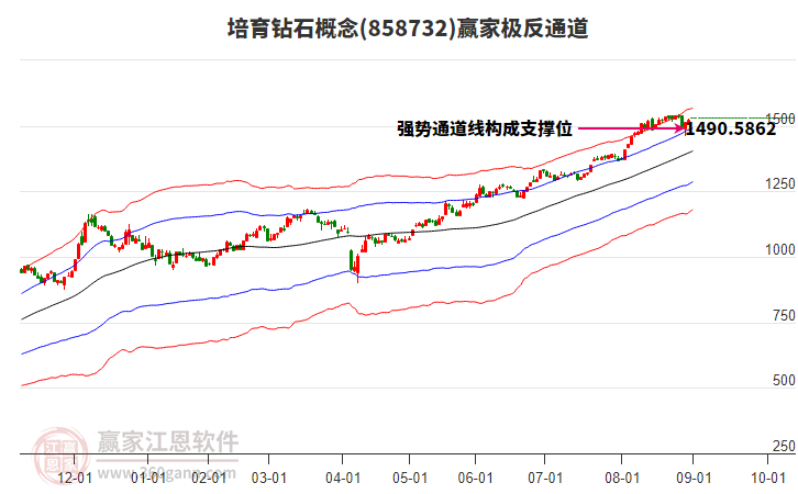 858732培育鉆石贏家極反通道工具 858732培育鉆石贏家極反通道工具