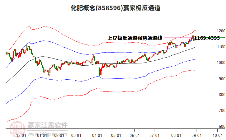 858596化肥贏家極反通道工具