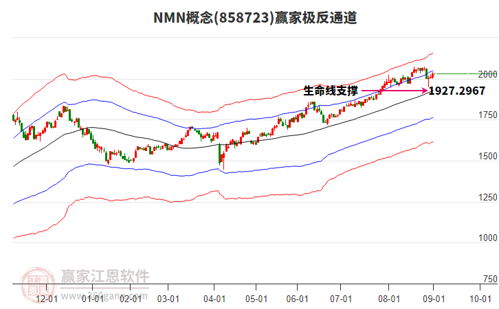 858723NMN贏家極反通道工具