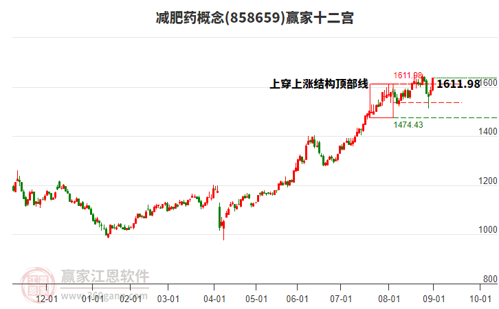 858659減肥藥贏家十二宮工具 858659減肥藥贏家十二宮工具