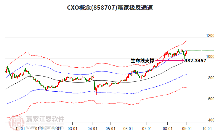 858707CXO贏家極反通道工具