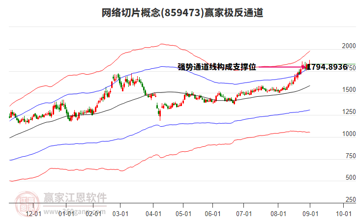 859473網(wǎng)絡(luò)切片贏家極反通道工具