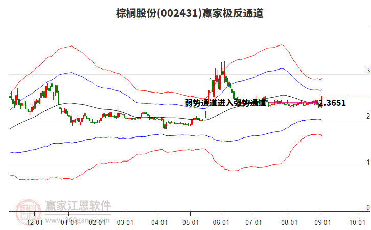 002431棕櫚股份贏家極反通道工具