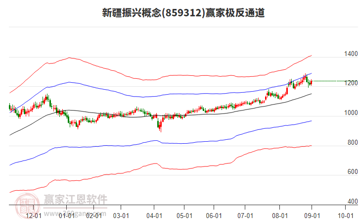 859312新疆振興贏家極反通道工具