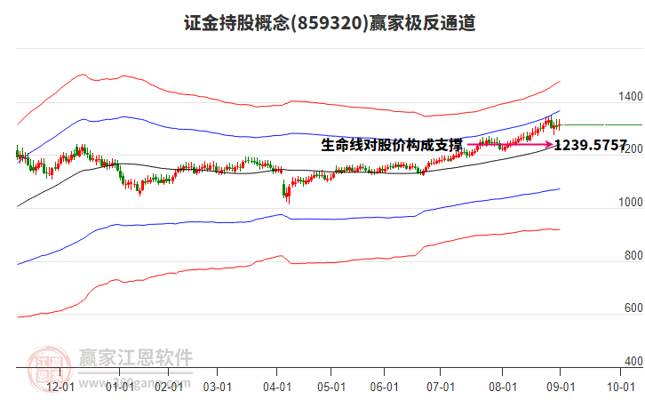 859320證金持股贏(yíng)家極反通道工具