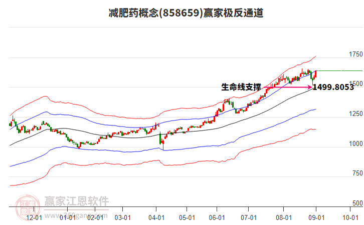 858659減肥藥贏家極反通道工具