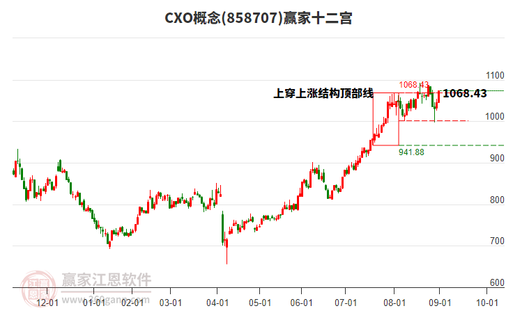 858707CXO赢家十二宫工具 858707CXO赢家十二宫工具
