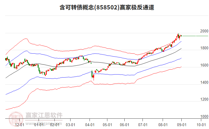 858502含可轉債贏家極反通道工具