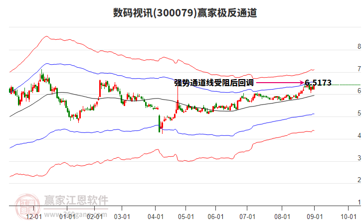 300079數(shù)碼視訊贏家極反通道工具