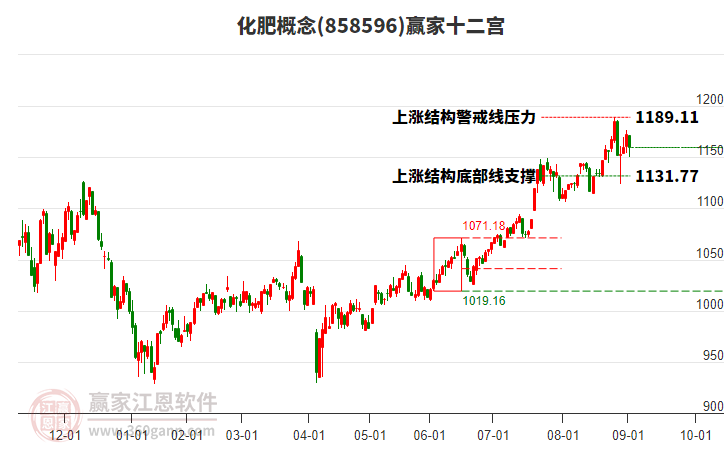 858596化肥贏家十二宮工具 858596化肥贏家十二宮工具