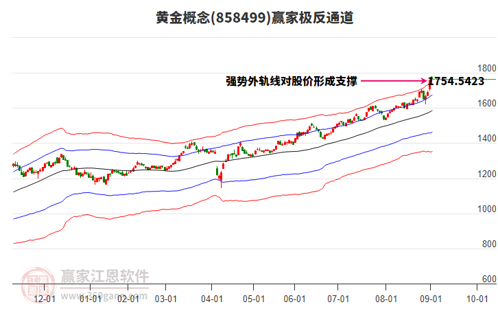 858499黃金贏家極反通道工具