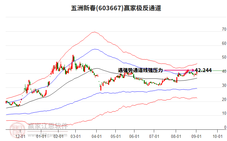 603667五洲新春贏家極反通道工具