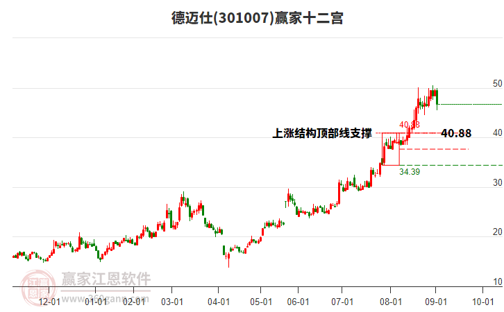 301007德邁仕贏家十二宮工具 301007德邁仕贏家十二宮工具