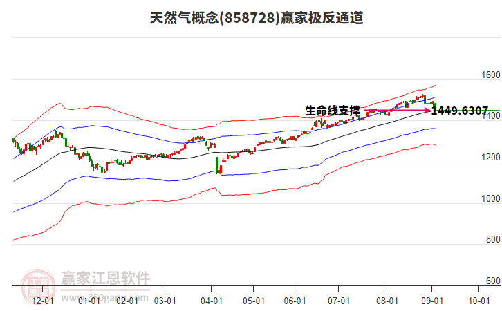 858728天然氣贏家極反通道工具 858728天然氣贏家極反通道工具