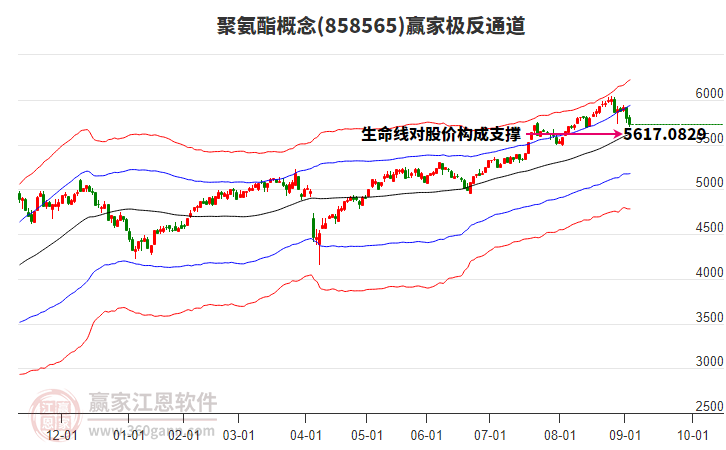 858565聚氨酯贏家極反通道工具