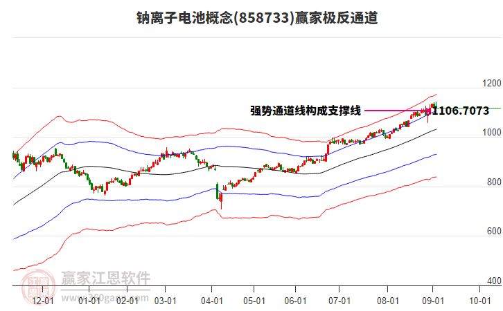 858733鈉離子電池贏家極反通道工具