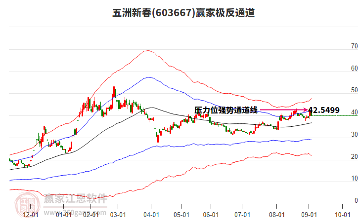 603667五洲新春贏家極反通道工具 603667五洲新春贏家極反通道工具