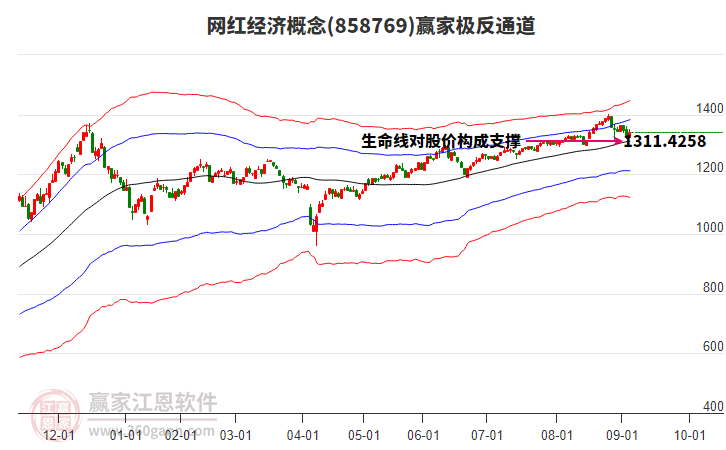 858769網(wǎng)紅經(jīng)濟(jì)贏家極反通道工具